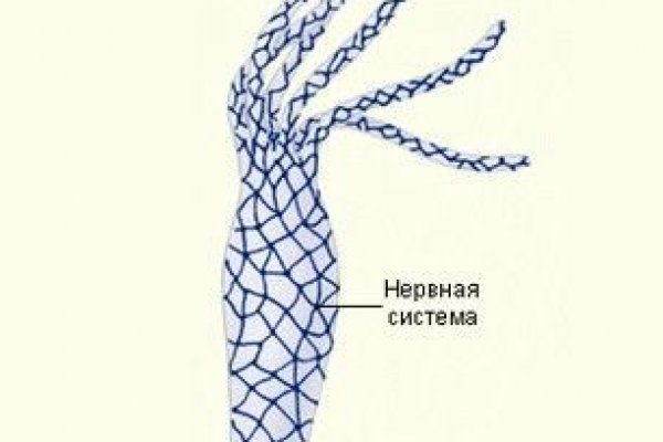 Кракен даркнет плейс